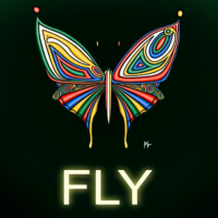 Fly