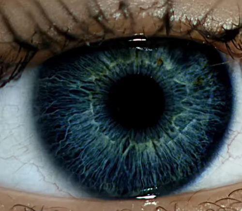 Screenshot 2025-12-05 145430