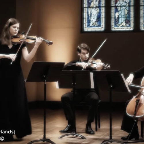 Screenshot 2025-12-17 153224