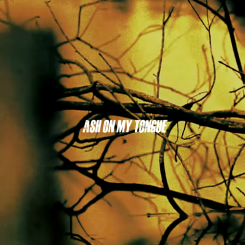 Screenshot 2026-01-16 114945